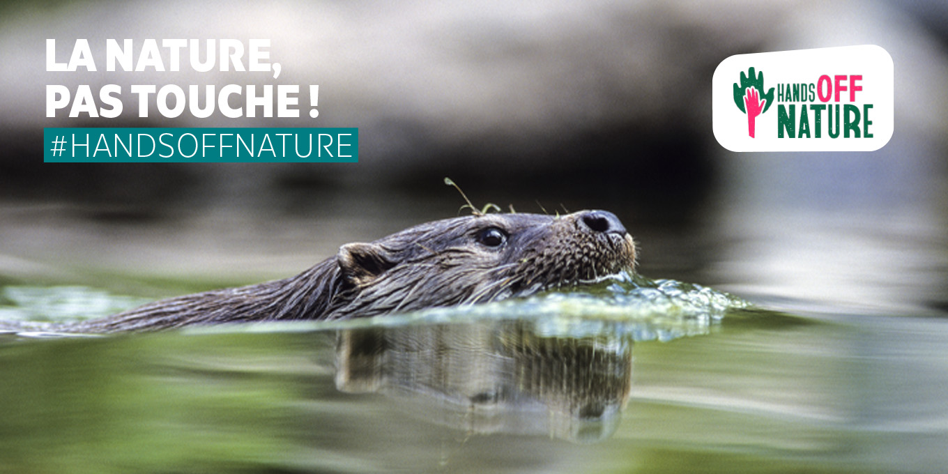 Stop aux reculs environnementaux : signez la pétition !