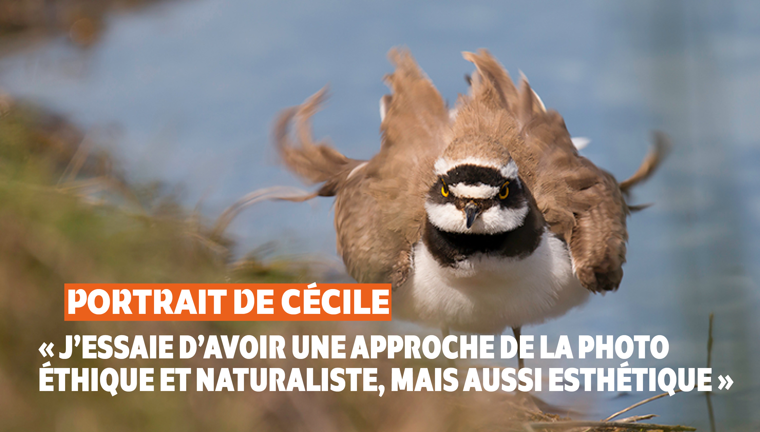 Derrière l’objectif : découvrez nos bénévoles photographes ! | Cécile