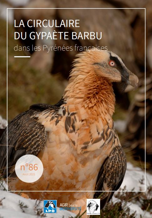 Circulaire Gypaète barbu n°86
