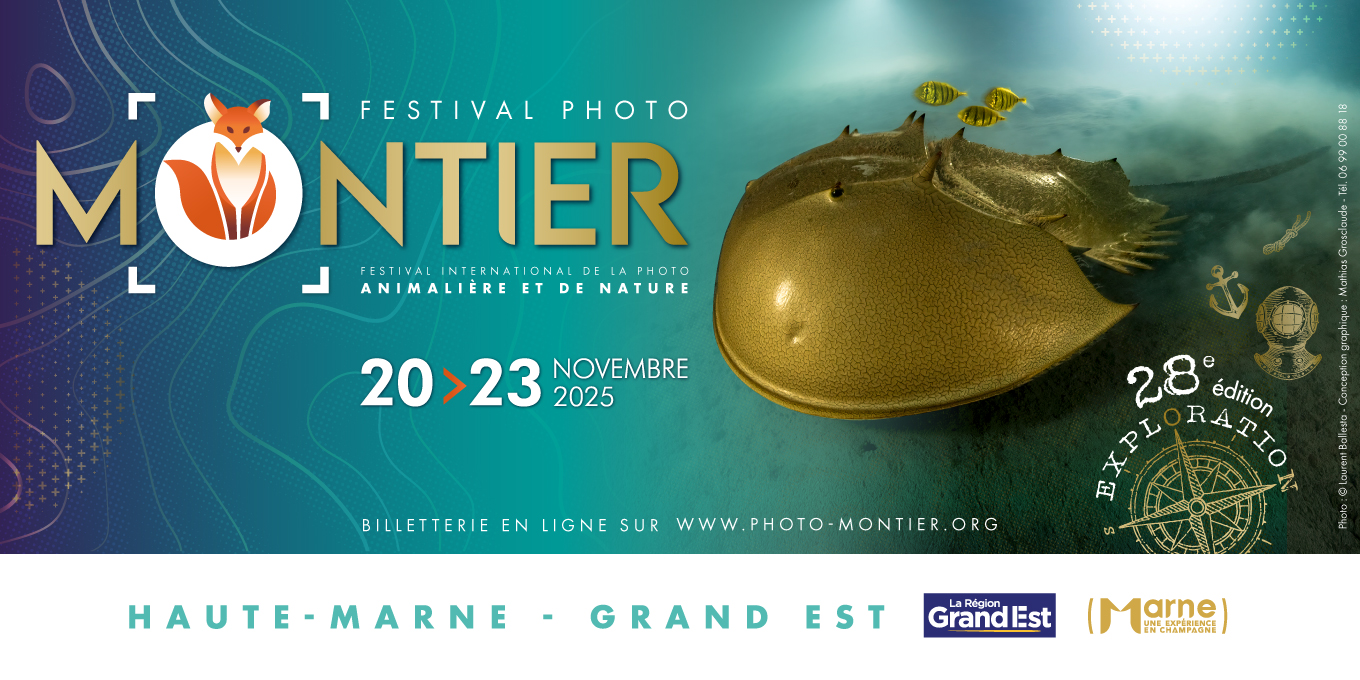 La LPO au festival de Montier en Der