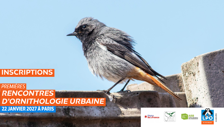 Inscription Rencontres d'ornithologie urbaine
