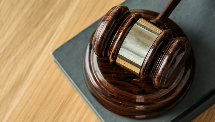 Obligations légales de débroussaillement : le Conseil d’État rappelle que la protection des espèces ne peut pas être contournée