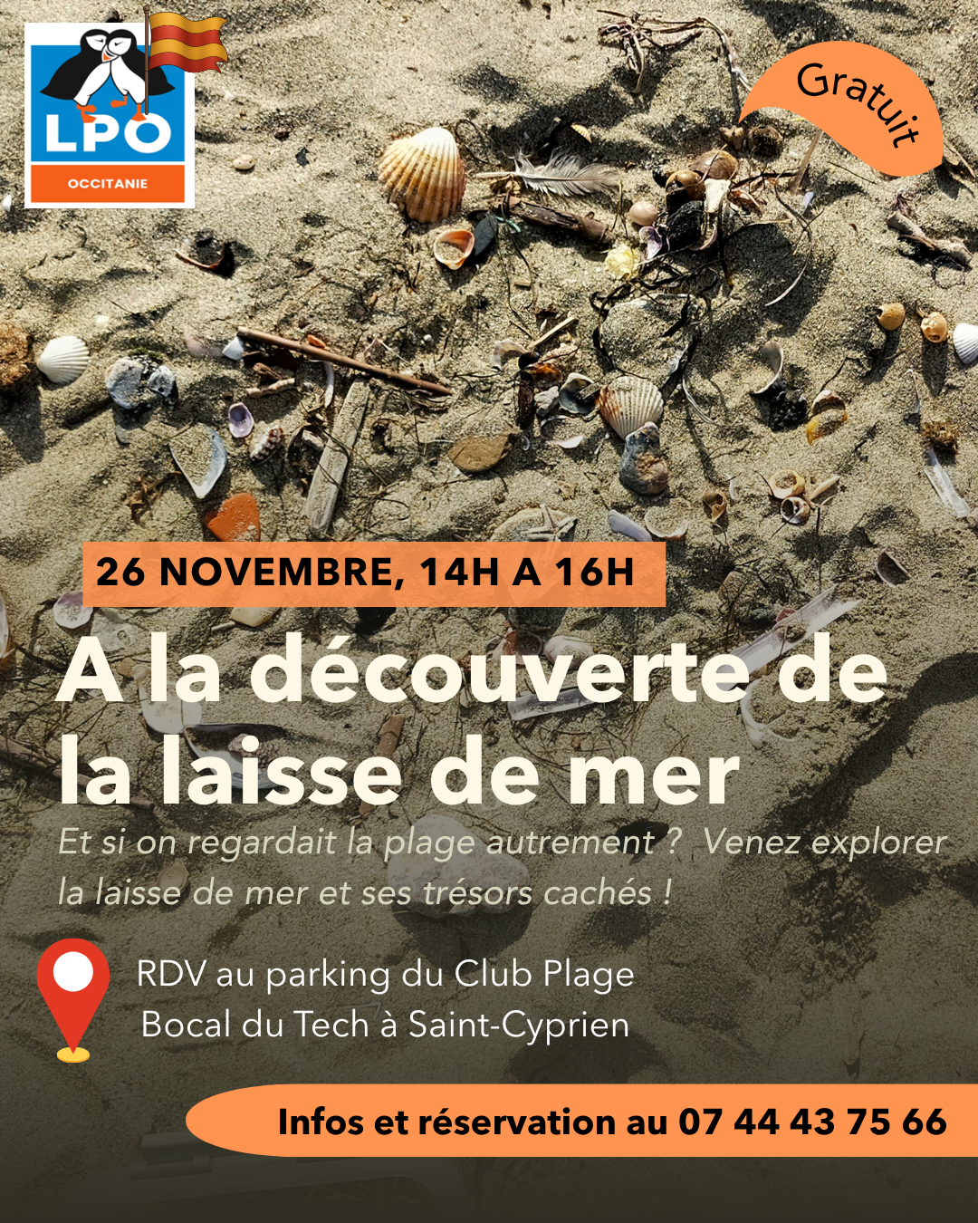 A la découverte de la laisse de mer