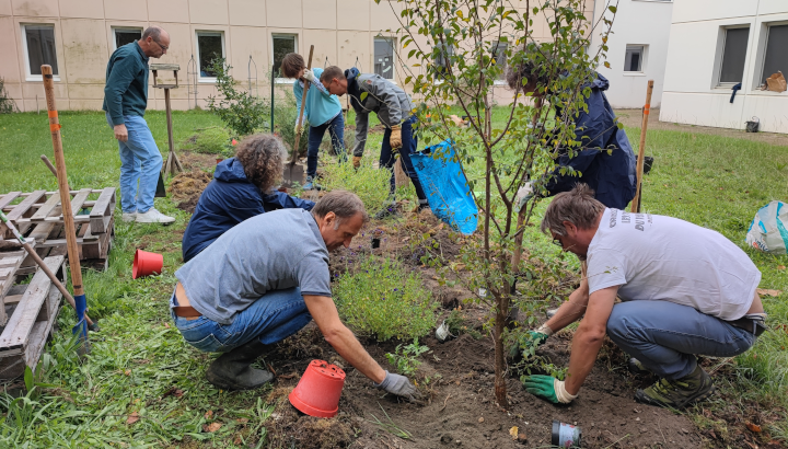 Végétalisation du jardin de la Banque Postale à Gradignan