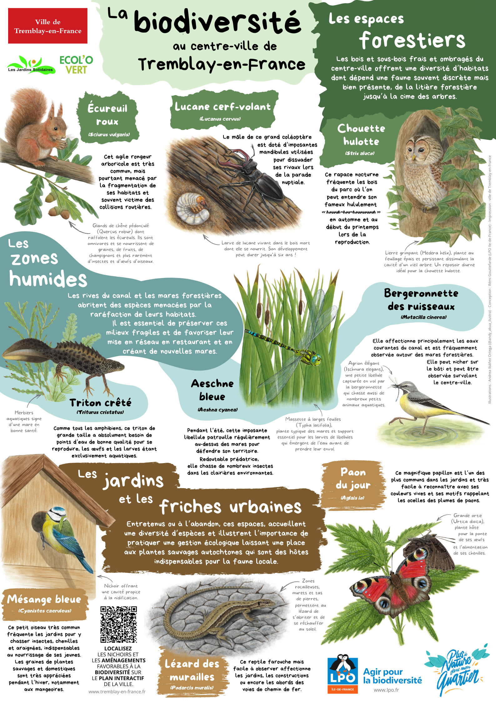 Plus de nature dans mon quartier à Tremblay