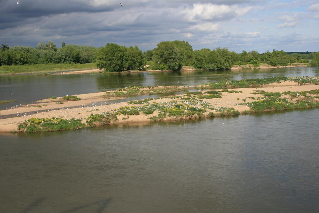 Sortie à l’île Navière - île de Chaillac