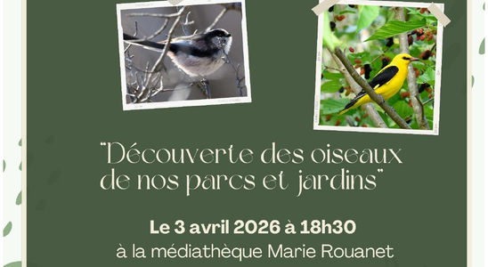 Découverte des oiseaux de nos parcs et jardins