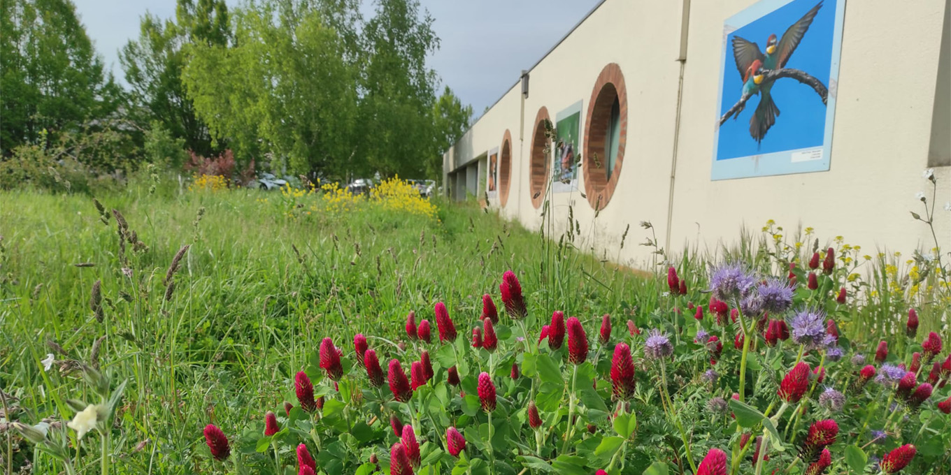 Pelouses et fleurs devant un batiment beige avec des fenêtres circulaires
