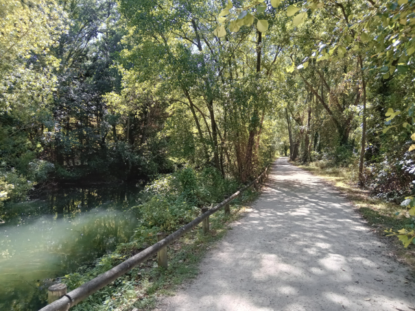Témoignage : Promenade sur les bords de l'Eure