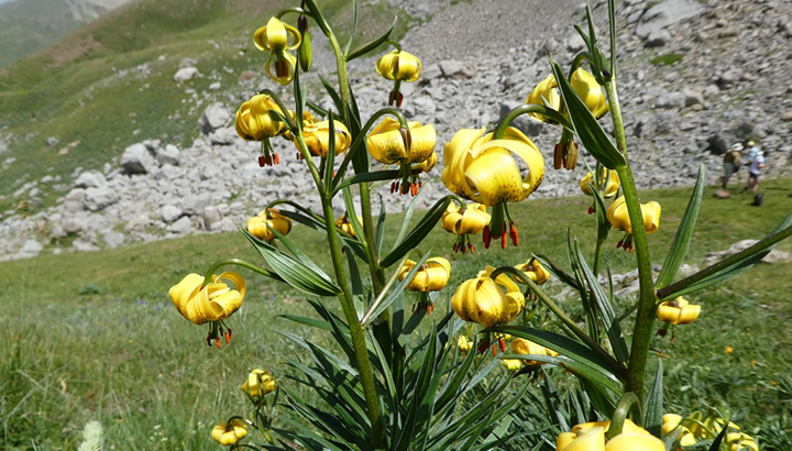 Le groupe bénévole de Pau en sortie au Col du Pourtalet