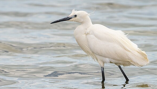 Balade autour du lac