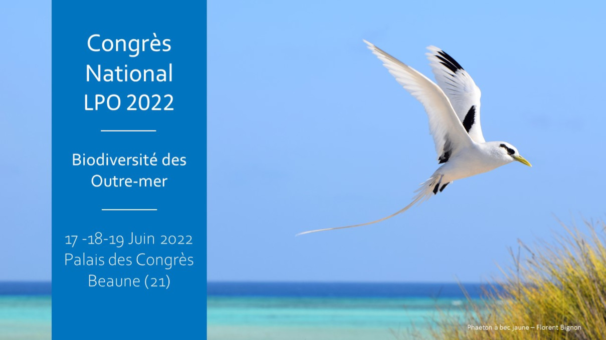 Affiche du Congrès national de la LPO 2022