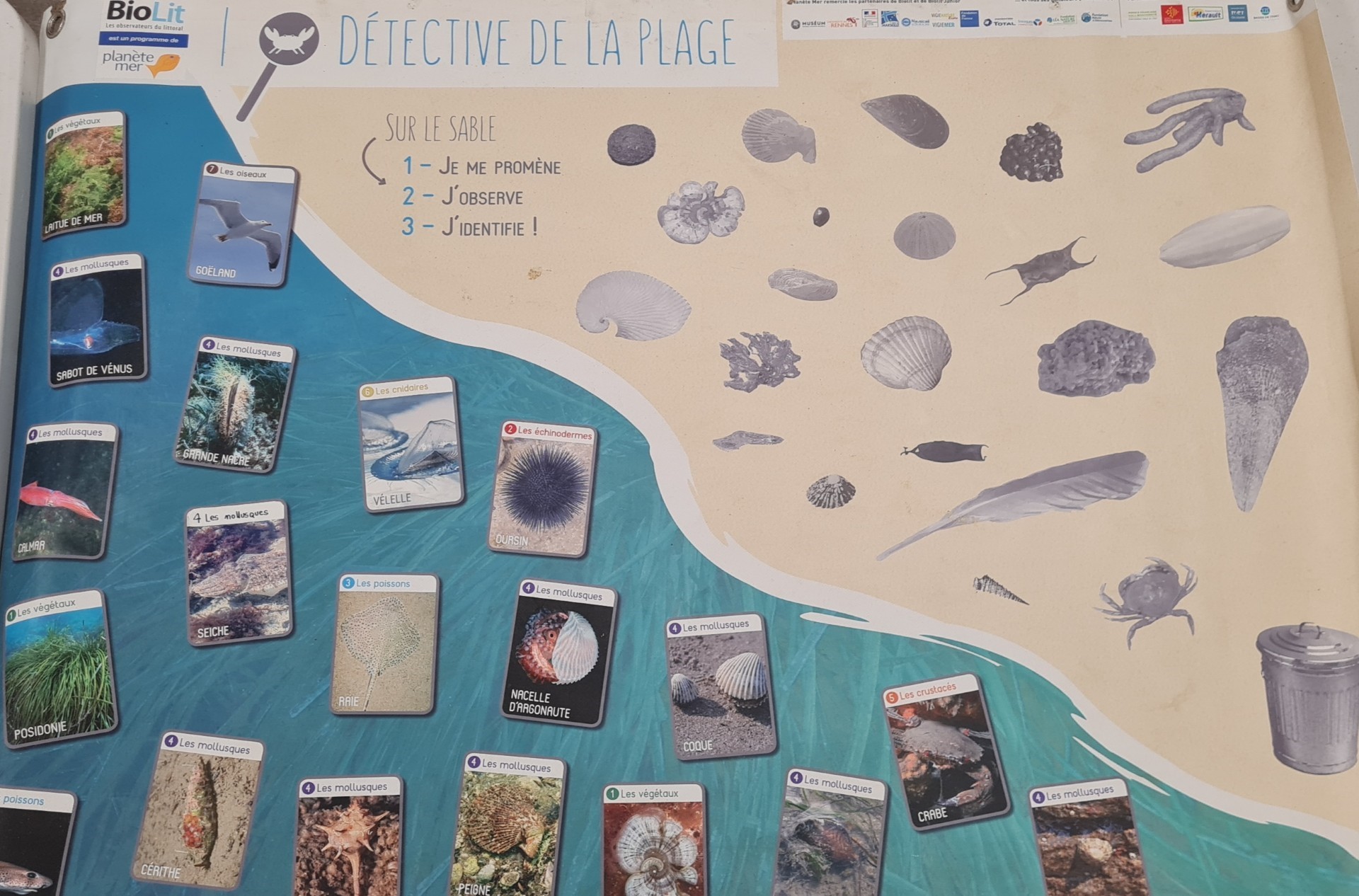 Détective à la plage