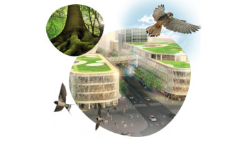 Couverture du guide Biodiversité & Quartiers