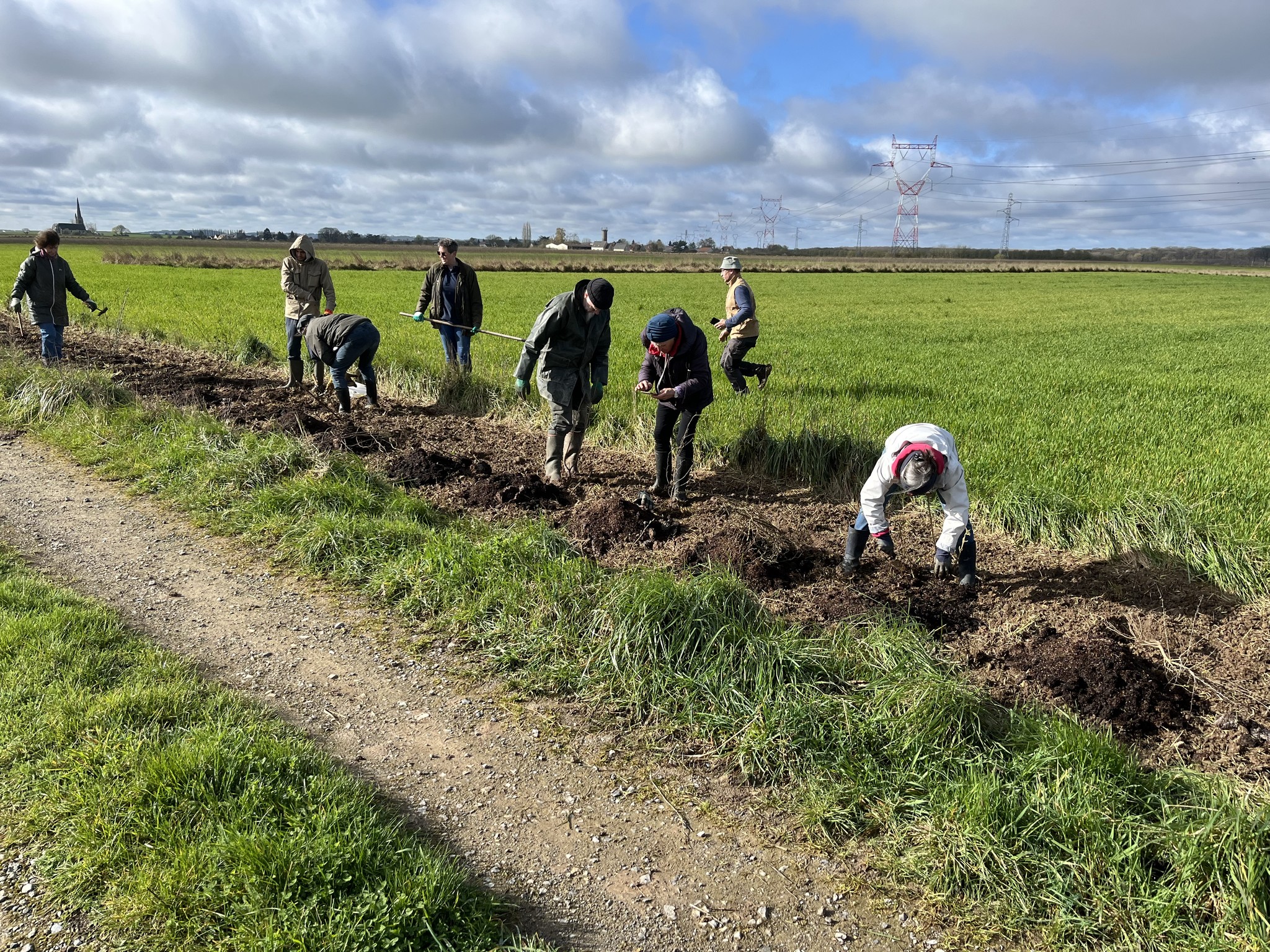 Plantation de haies dans l'Oise
