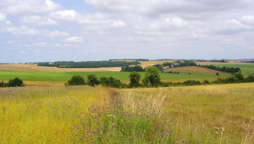 L'agriculture productiviste instrumentalise la guerre en Ukraine