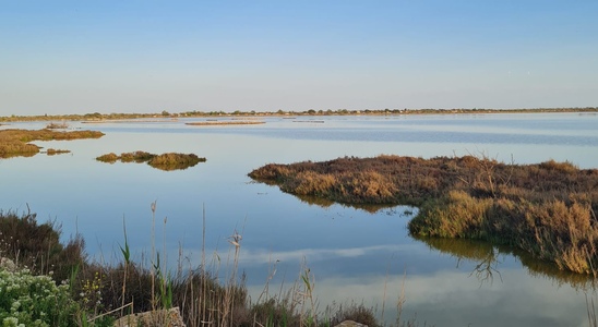 Sortie Groupe Jeune: rendez-vous au lieu-dit de Tartuguière !