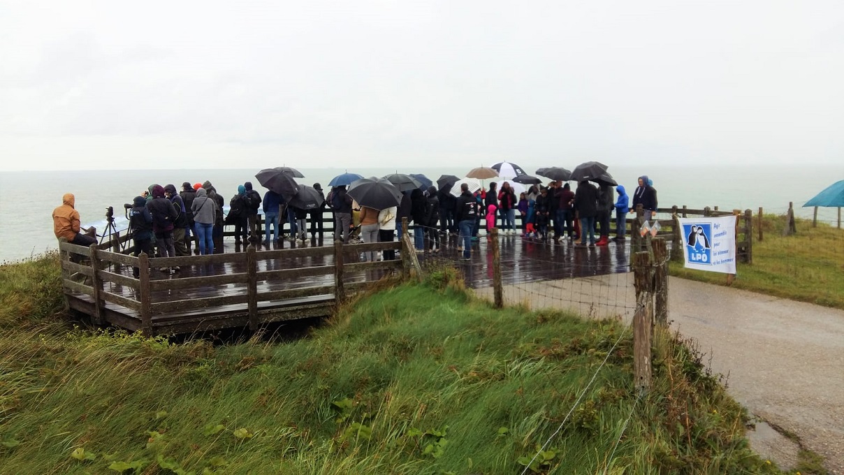 Groupe de personne sous la pluie, sur la plateforme du Cap Gris-Nez