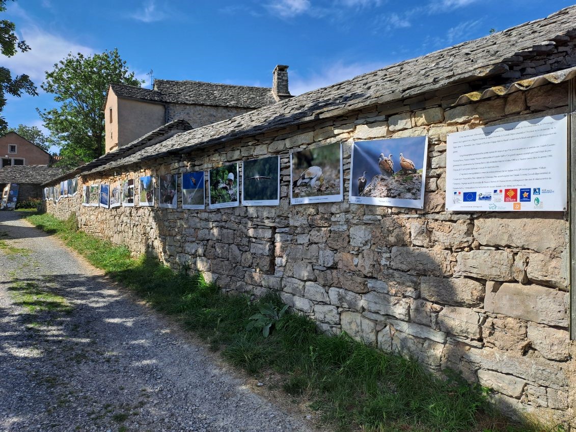 Expo Faune de montagne