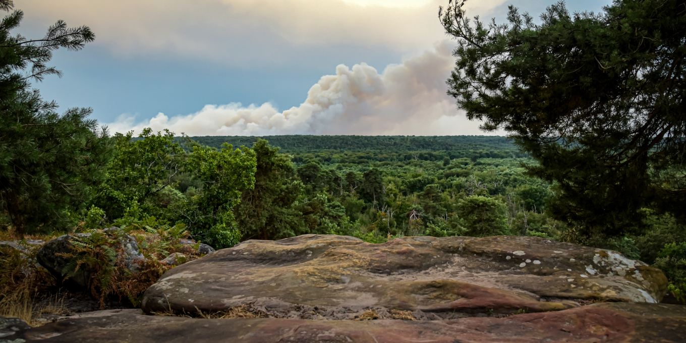 Aidez la faune sauvage en cas d’incendie