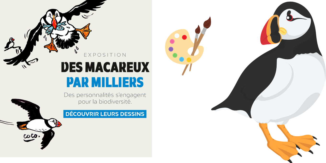Exposition Macareux par milliers - Vos dessins