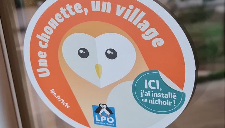 C’est parti pour le projet « Une chouette un village » en région Occitanie et Pays catalan !