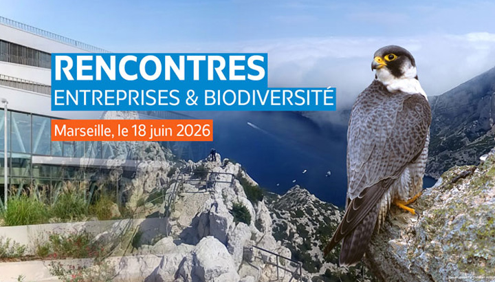 Rencontres entreprises et biodiversité