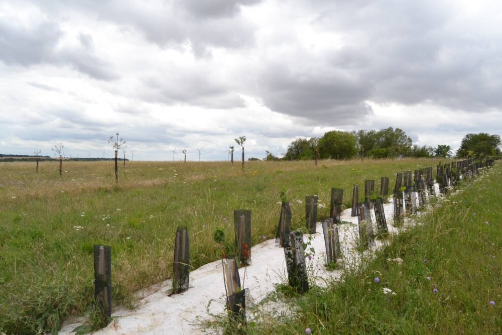Huit communes de Marne et Haute-Marne se lancent avec la LPO dans des projets de préservation de la biodiversité