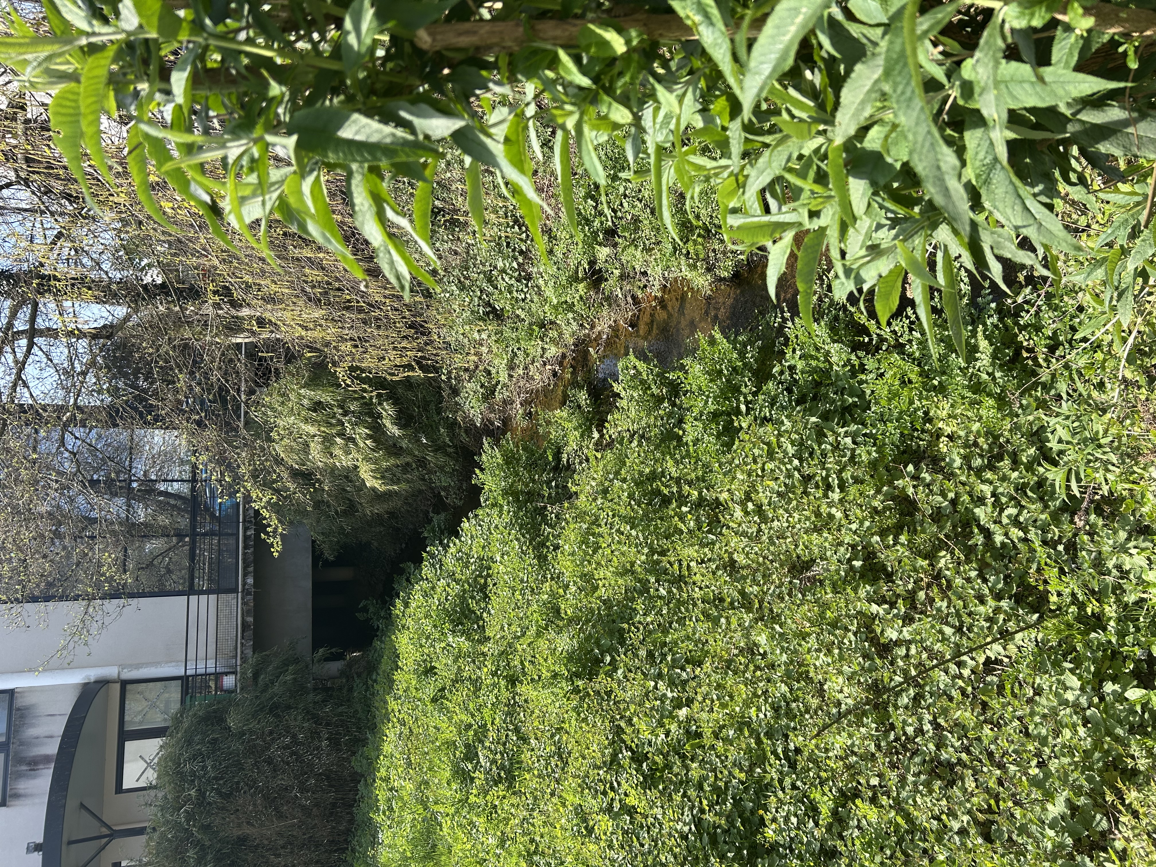 𝗥𝗲𝘁𝗼𝘂𝗿 𝘀𝘂𝗿 𝗹𝗲 𝗽𝗿𝗼𝗴𝗿𝗮𝗺𝗺𝗲 𝗥𝗲𝗳𝘂𝗴𝗲 𝗟𝗣𝗢 𝗘𝗻𝘁𝗿𝗲𝗽𝗿𝗶𝘀𝗲 !