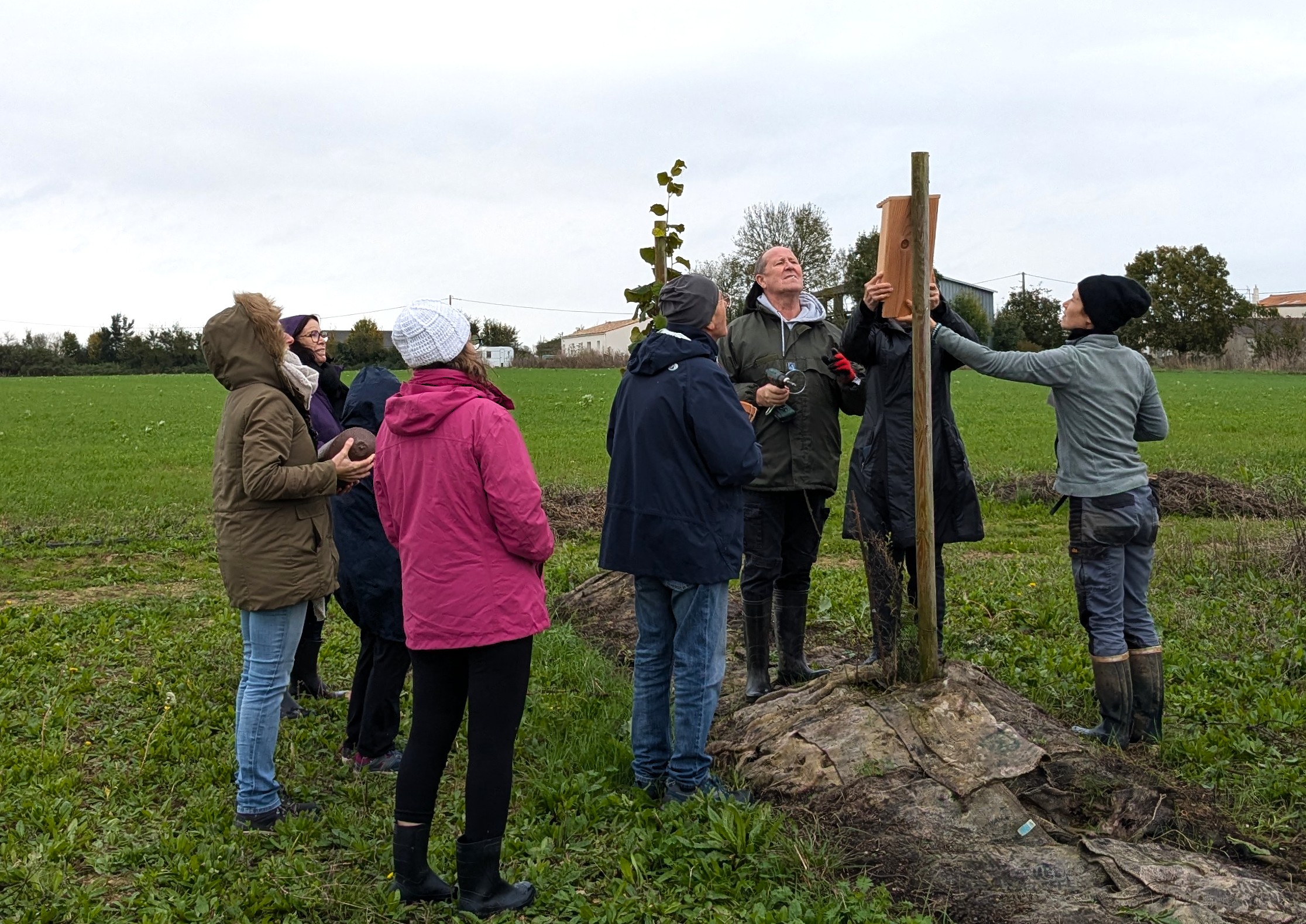 Chantier participatif - pose de nichoirs