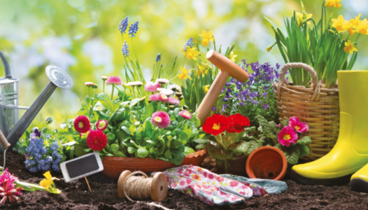 Salon autour du jardin