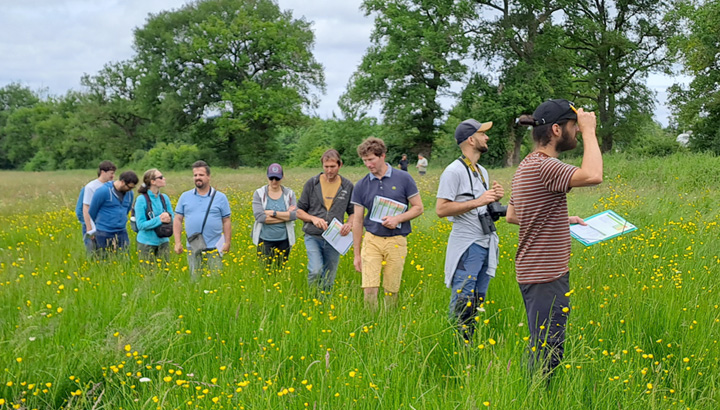 Concours Prairies et parcours : un record pour la flore !