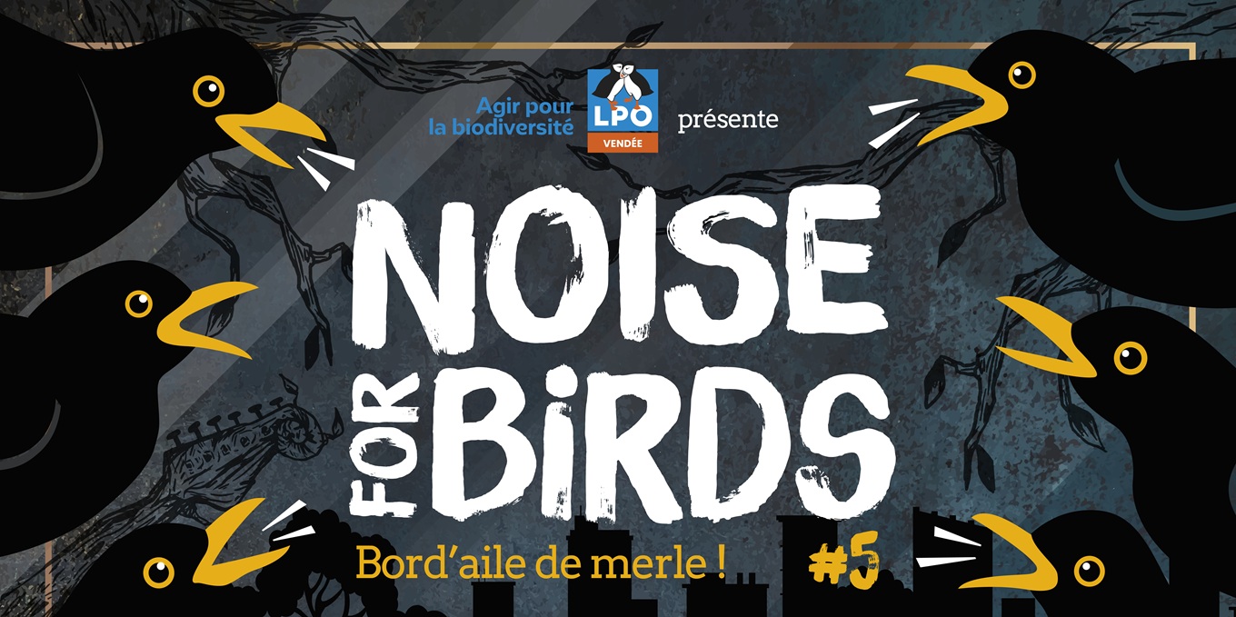 Noise for birds 5 / Bord d'aile de merle : faites du bruit pour les oiseaux avec la LPO Vendée