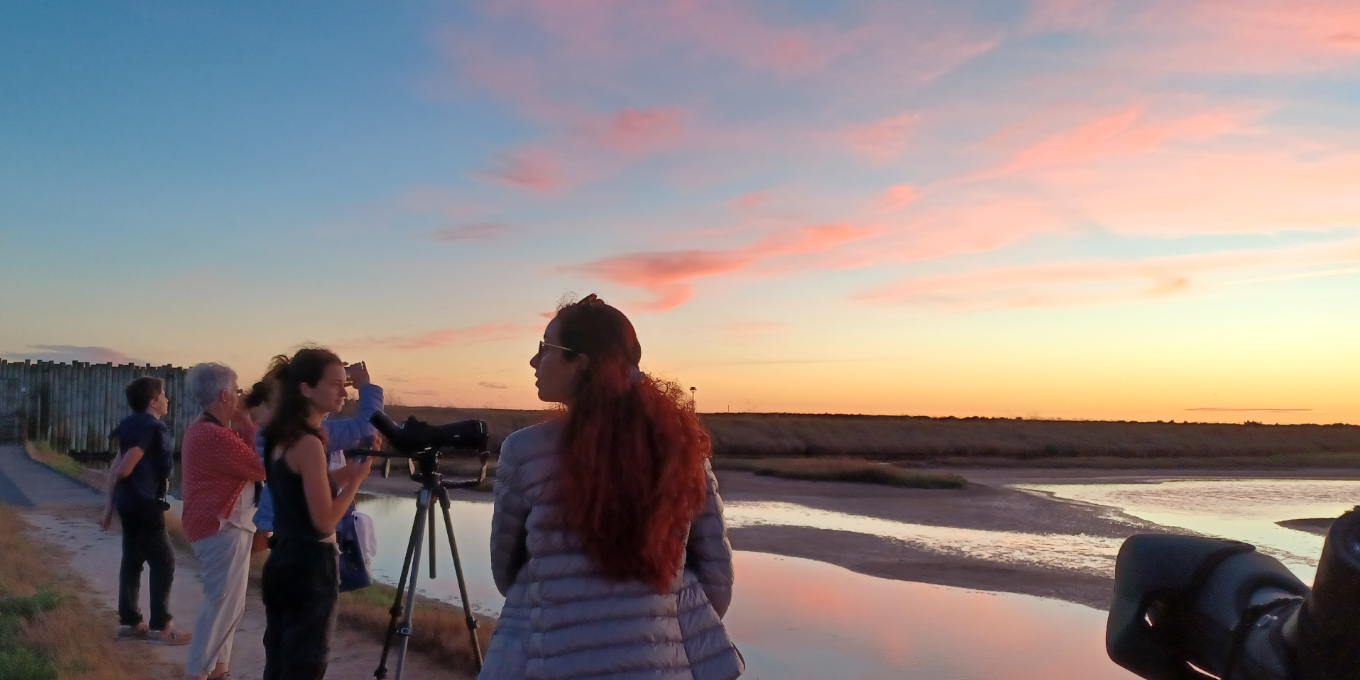La réserve naturelle de Moëze-Oléron, une découverte en 1,5 heure