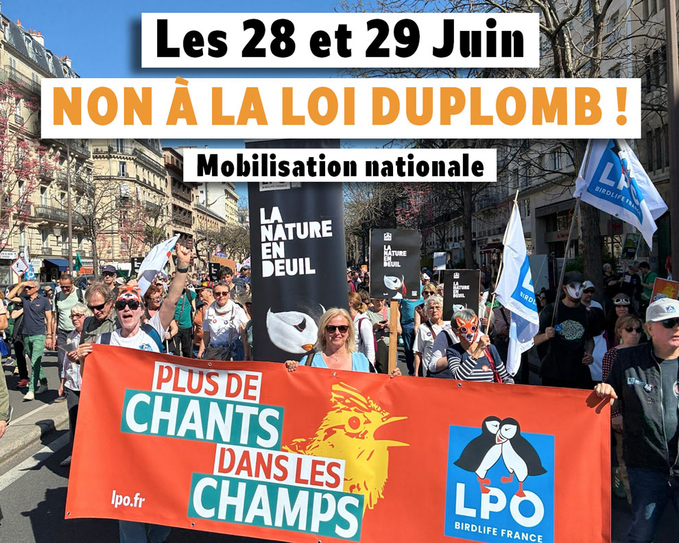 Visuel LPO France