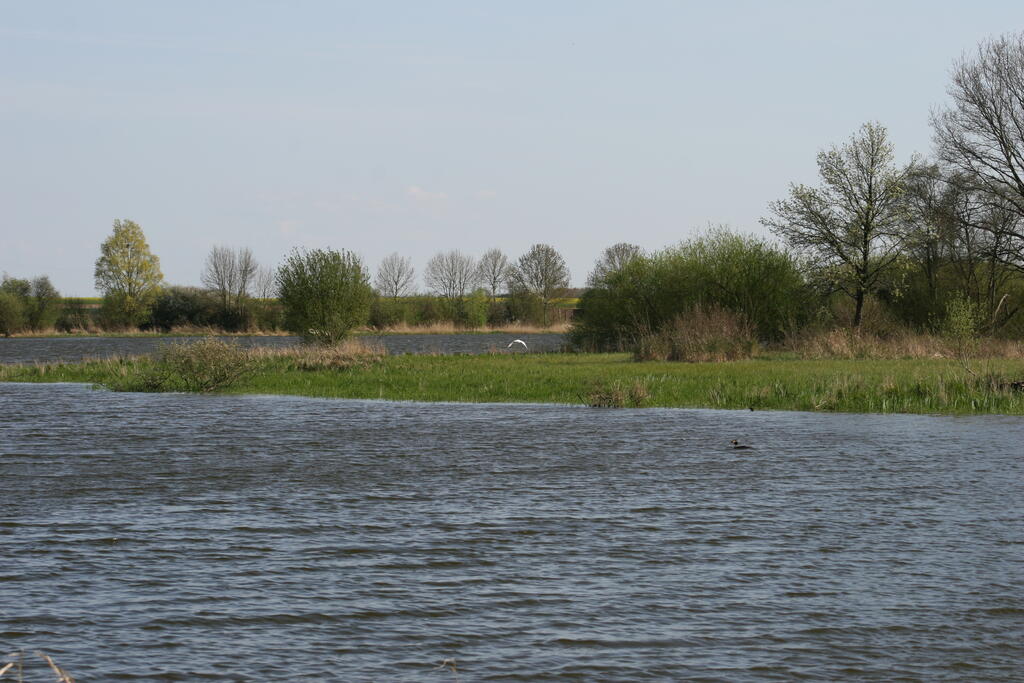 Etang du Louroux, Nicolas Macaire