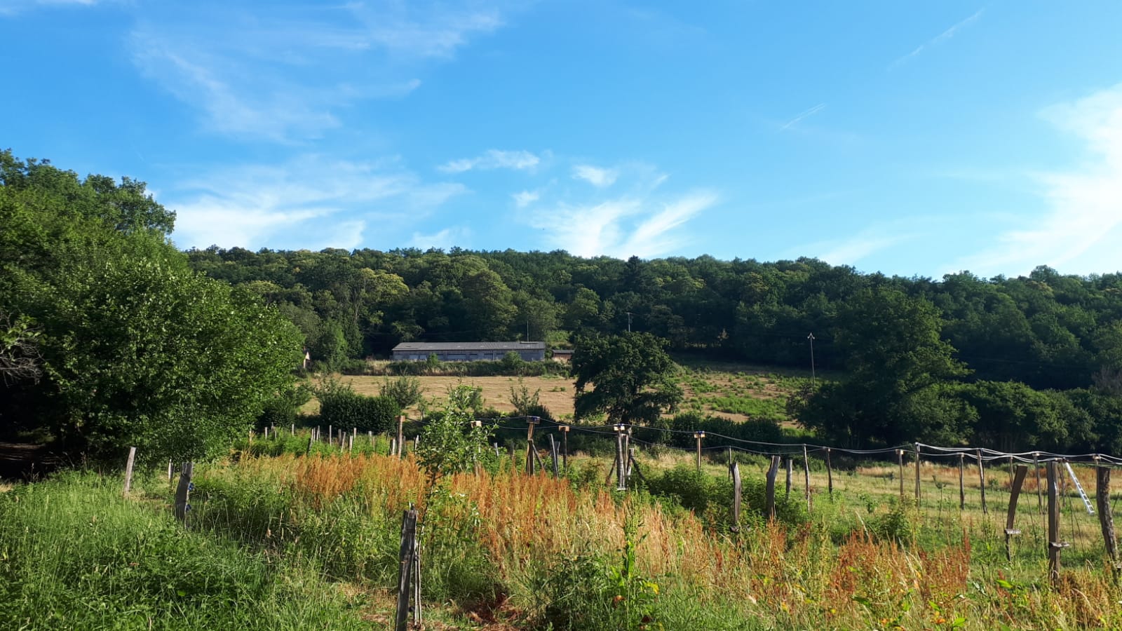 Venez découvrir une ferme Terre de Liens ainsi que son rôle dans la préservation de la biodiversité !