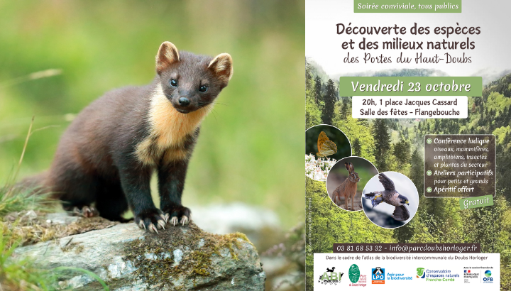 Découverte des espèces et des milieux naturels des portes du Haut-Doubs