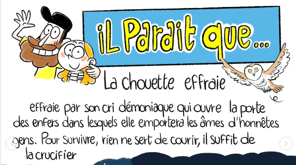IL PARAIT que… l'Effraie des clochers