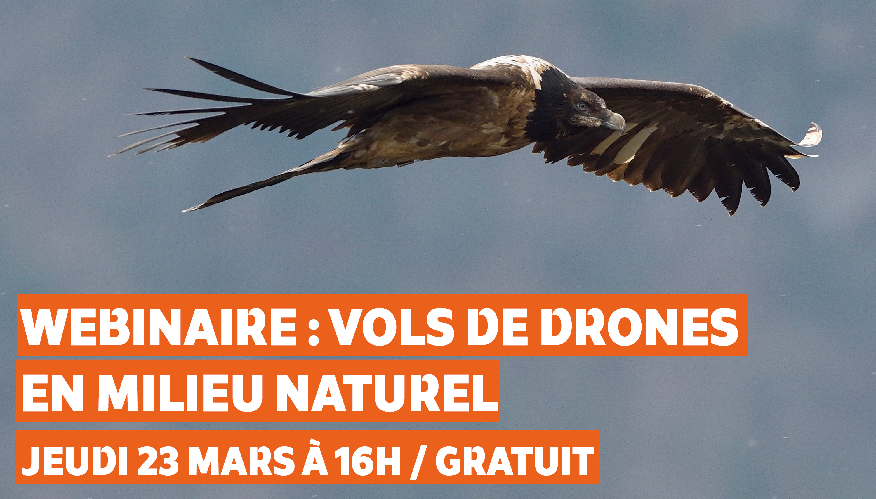 Webinaire : Vols de drones en zones naturelles - 2ème édition