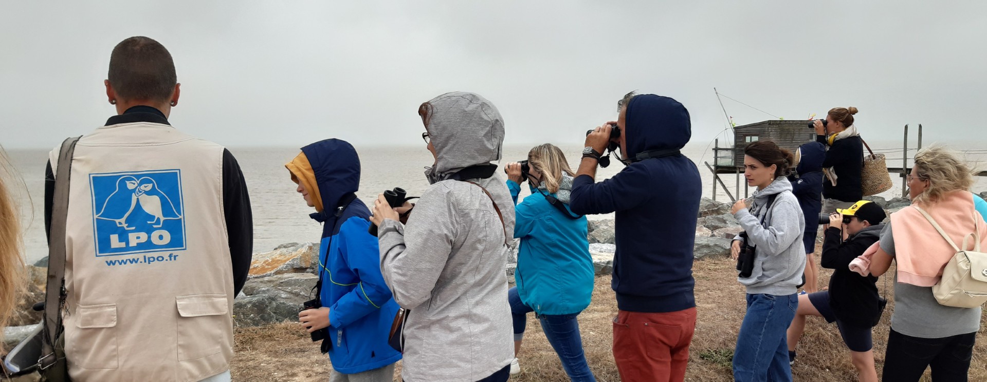 Découverte des oiseaux d'une cabane ostréicole
