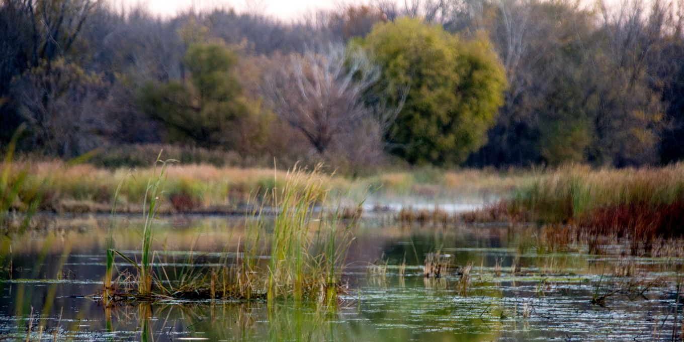 Zones humides & Loi d’urgence agricole : les acteurs de terrains sont atterrés