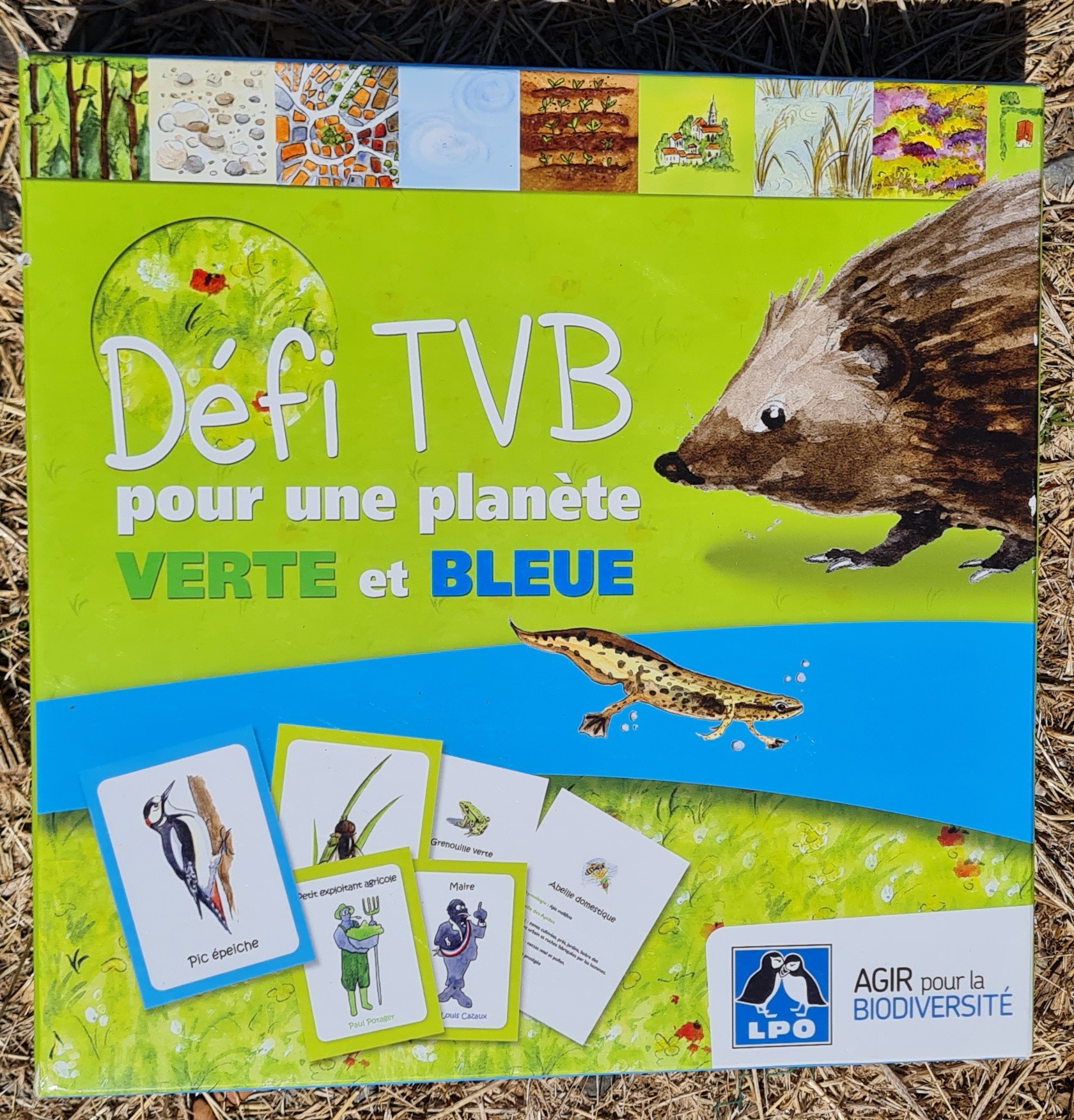 Défi TVB