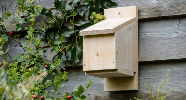 Comment fabriquer un gîte de façade pour les chauves-souris ? - LPO (Ligue  pour la Protection des Oiseaux) - Agir pour la biodiversité
