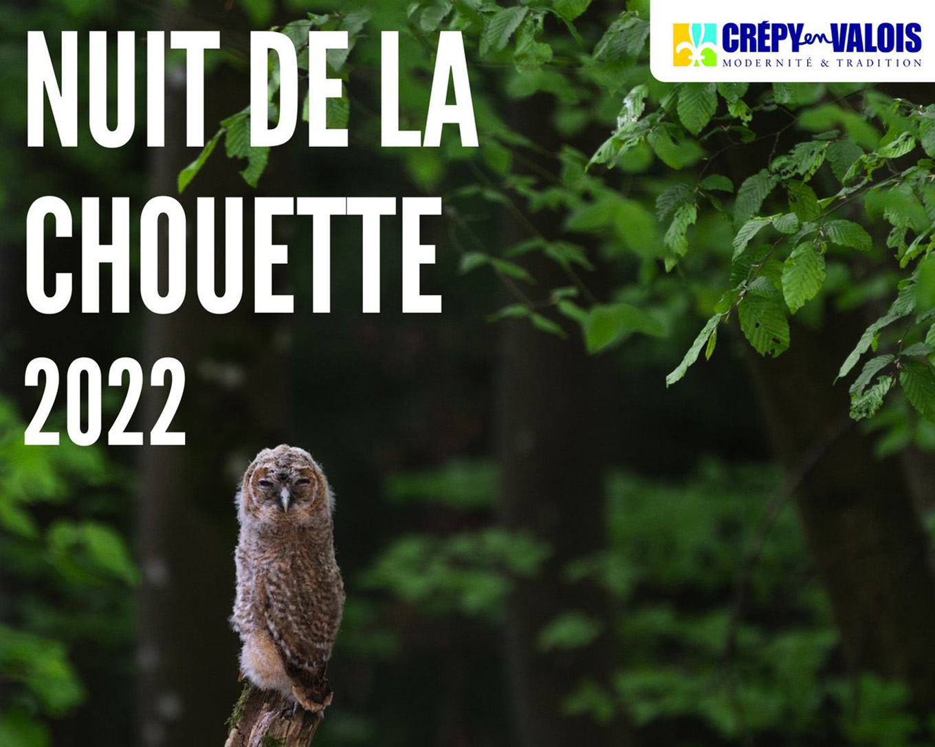 Nuit de la Chouette 2022 à Crépy-en-Valois