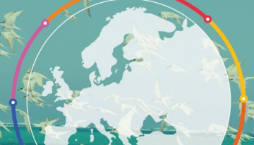 Deux stratégies européennes pour sauver la planète ?