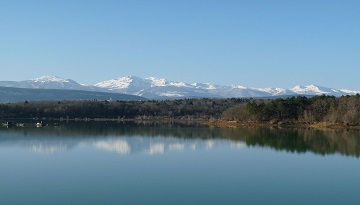 Balade ornithologique autour du lac de Montbel sous son manteau d'hiver