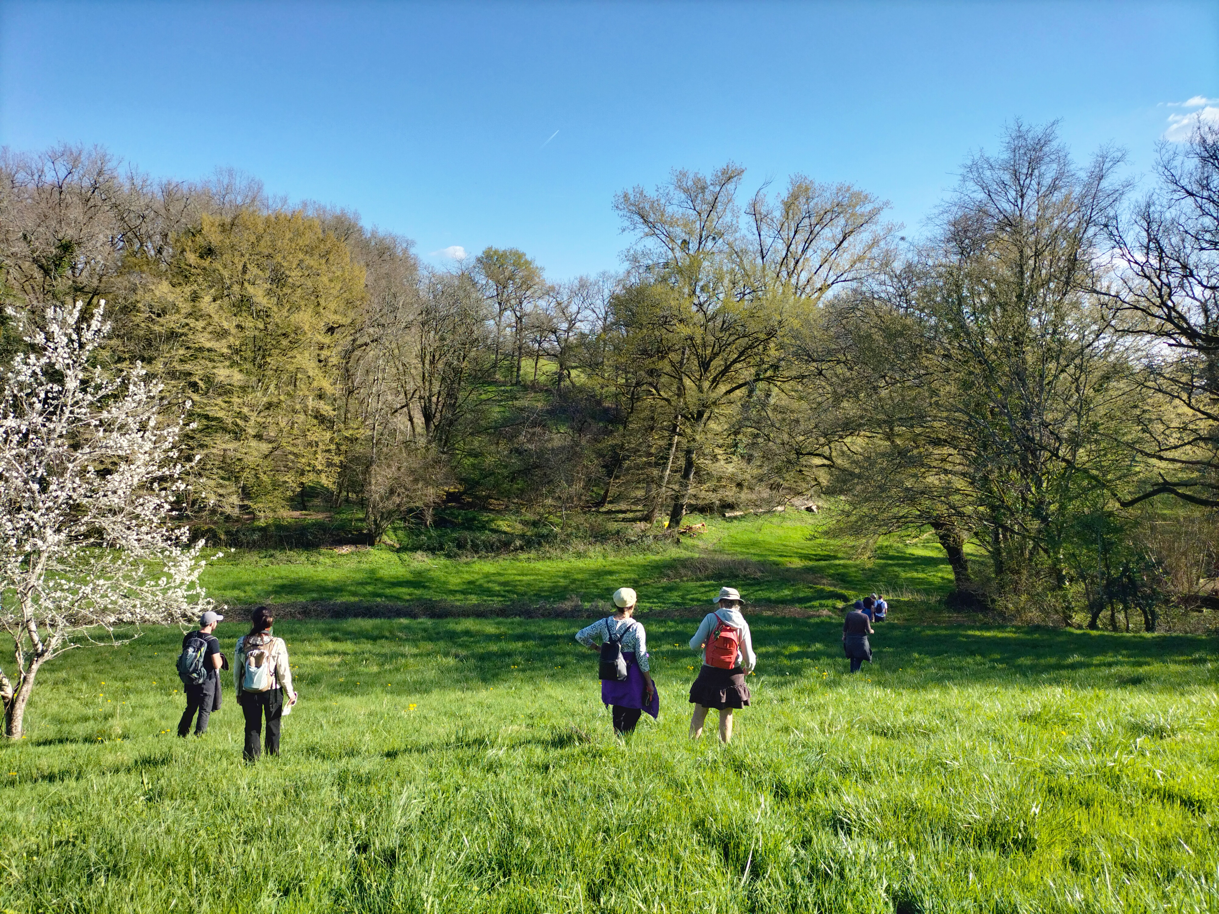 Balade-atelier biodiversité