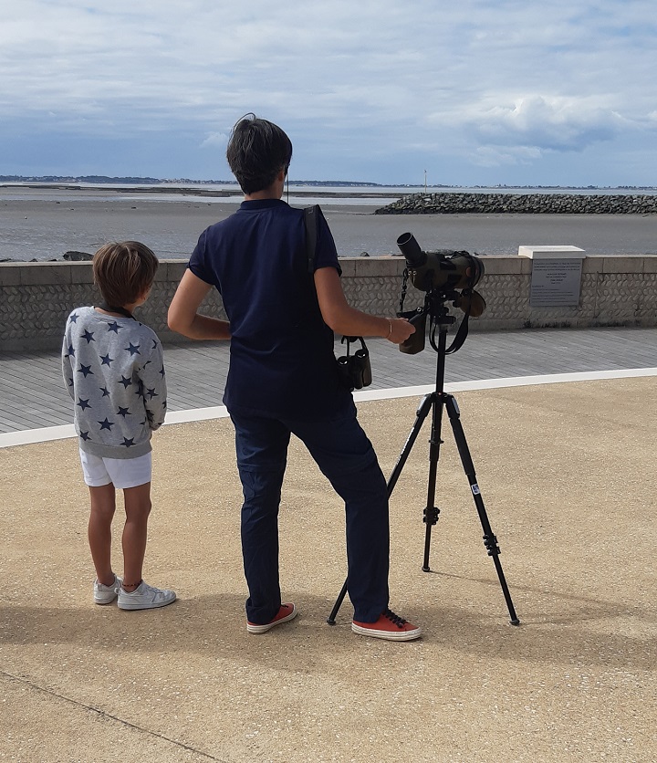 Safari Junior « Les apprentis ornithologues »