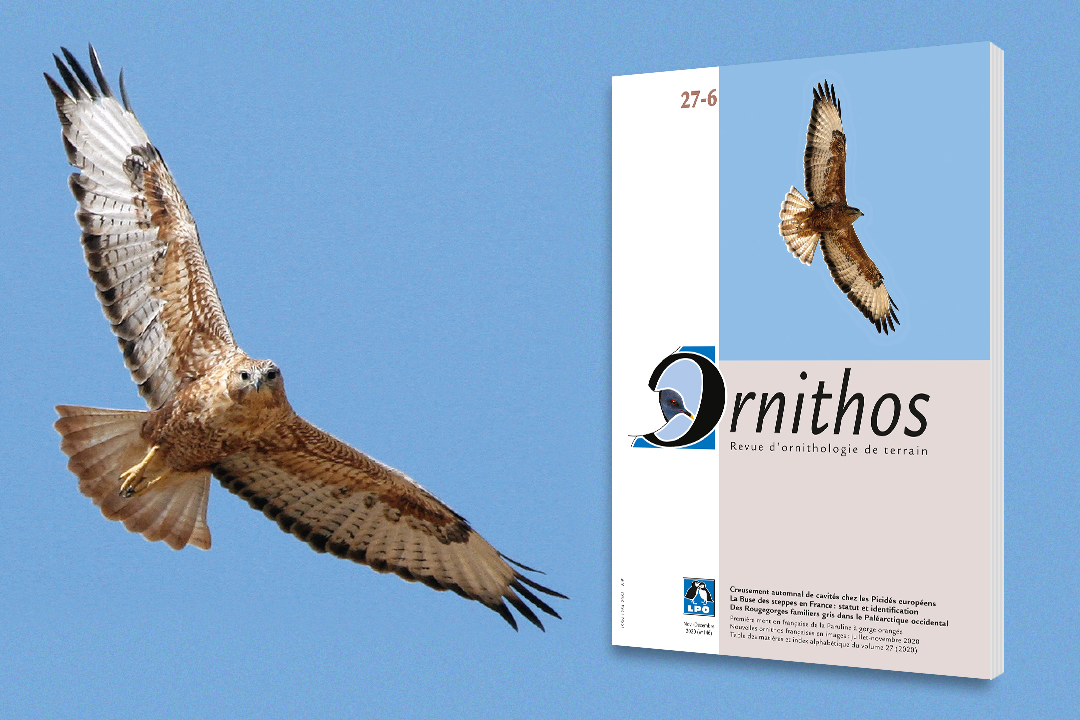 Couverture d'Ornithos 26-6 (2019)